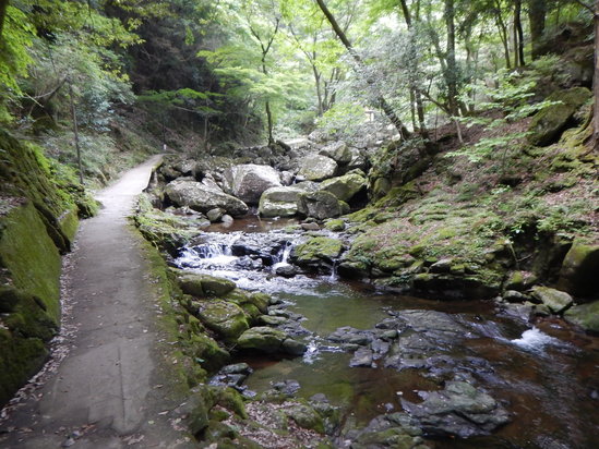 d0231858_1324382.jpg