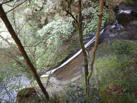 d0231858_13322187.jpg