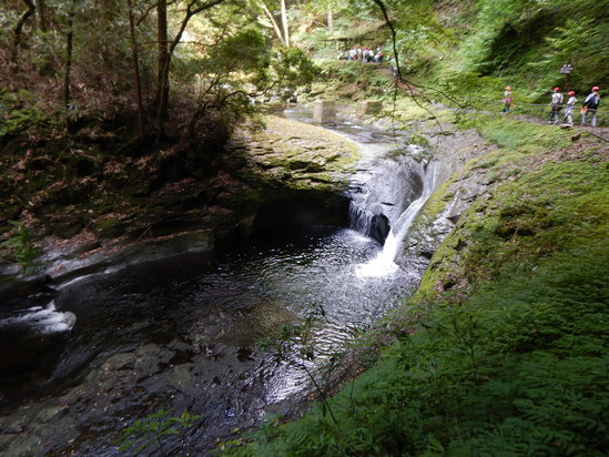 d0231858_1333288.jpg