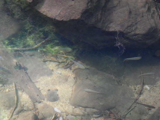 d0231858_20322245.jpg