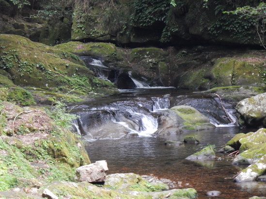 d0231858_21185924.jpg