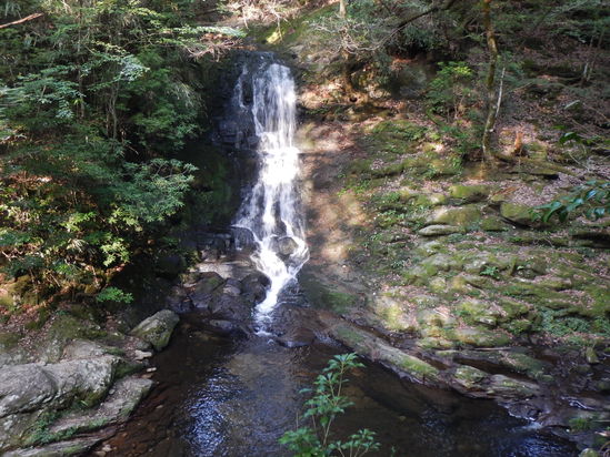 d0231858_22293723.jpg