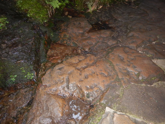 d0231858_22421598.jpg