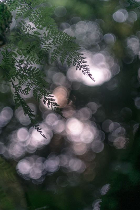 f0369264_18594502.jpg