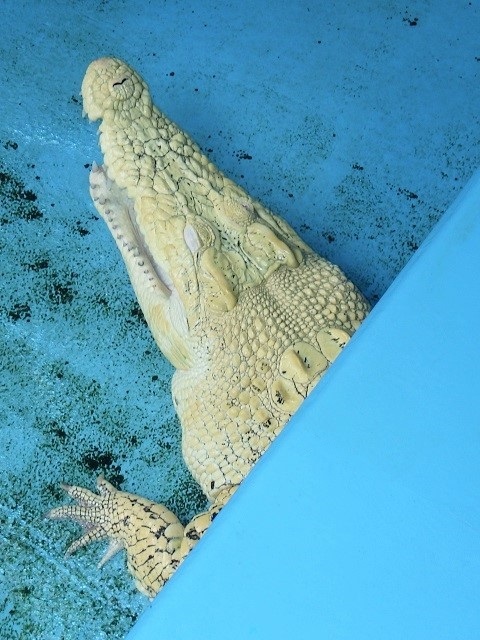 c0105569_00313790.jpg