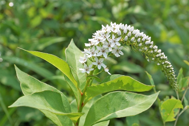 c0248473_20123242.jpg