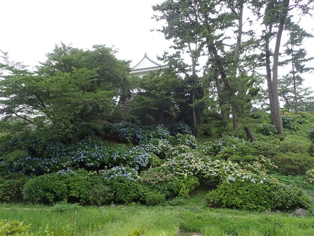 c0286574_8101743.jpg