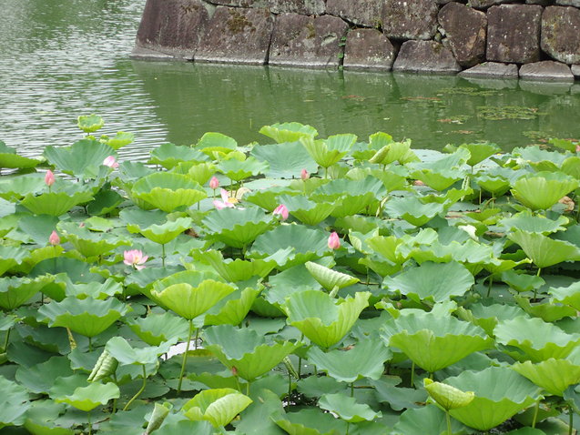 c0286574_86493.jpg