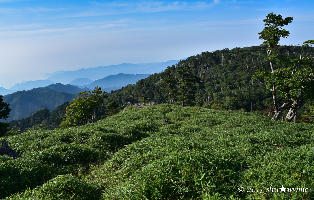 a0142976_07531922.jpg