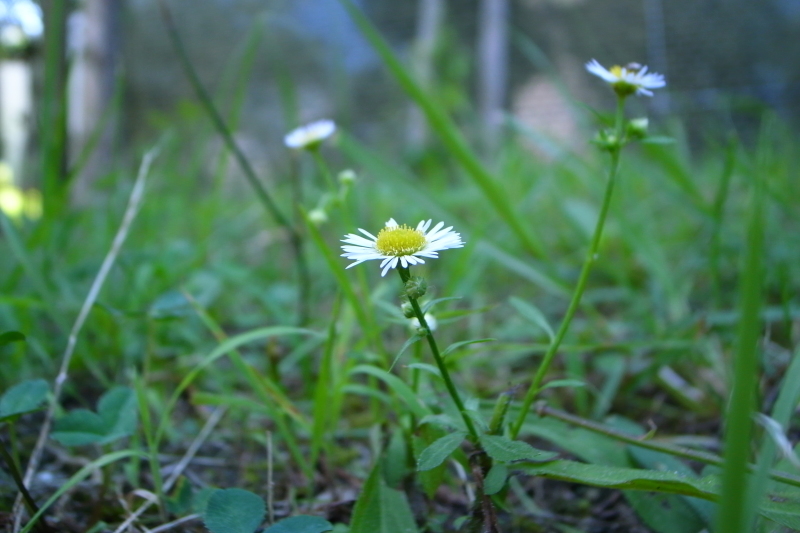 b0326576_15524173.jpg