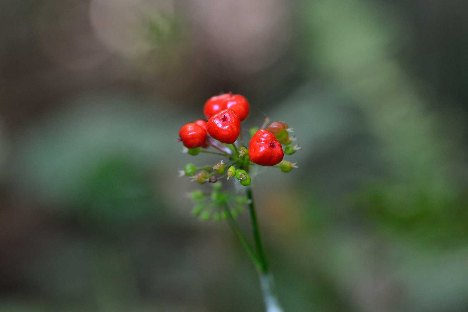 d0328977_08444551.jpg