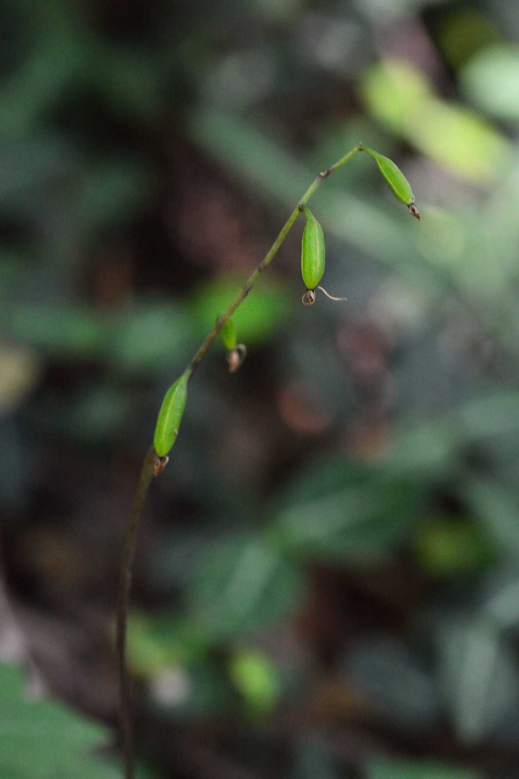 d0328977_08451247.jpg