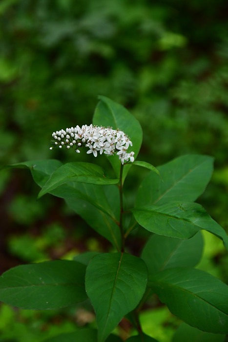 d0341880_07422413.jpg