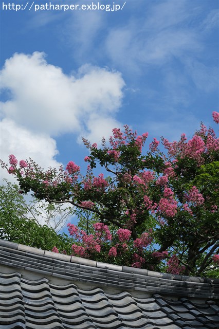 a0052986_750836.jpg