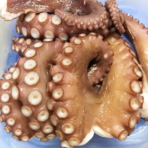 f0377688_07441496.jpg