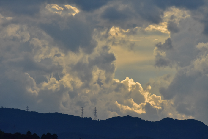 c0049299_21514155.jpg