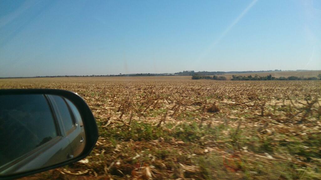 f0225800_03442586.jpg