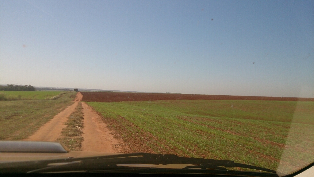 f0225800_03443136.jpg
