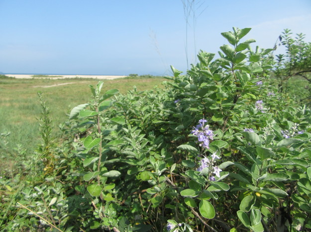 f0231709_08334191.jpg