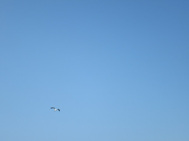 f0231709_22144831.jpg