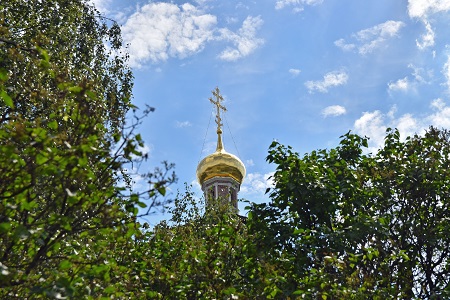 a0151913_624560.jpg