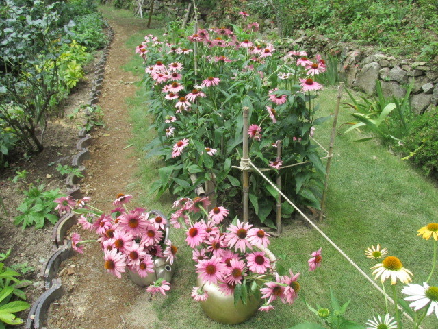 f0341616_16420090.jpg