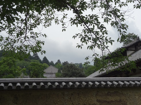 f0000521_05203562.jpg