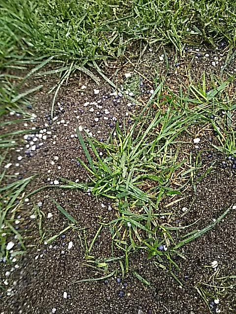 f0227321_19441728.jpg