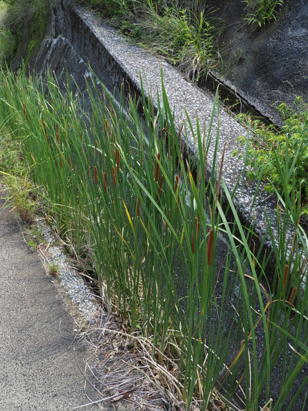 a0321323_00145157.jpg