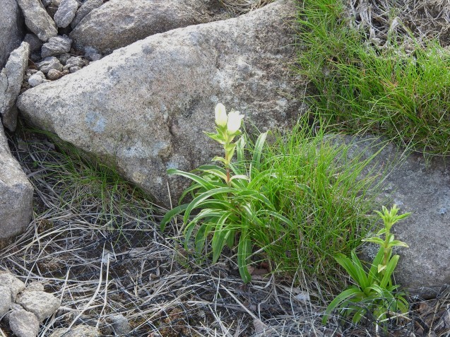 f0118332_00324740.jpg