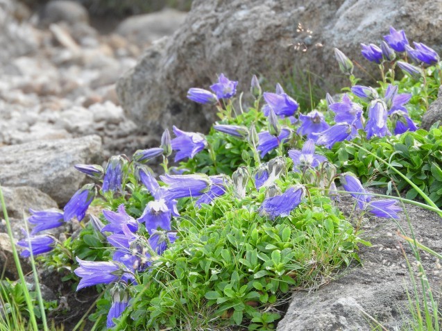 f0118332_00325680.jpg