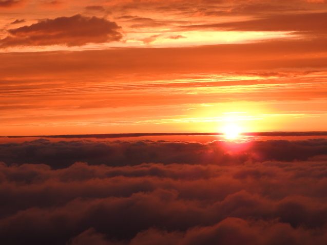 f0118332_00355849.jpg