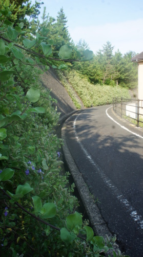 e0166734_20445516.jpg