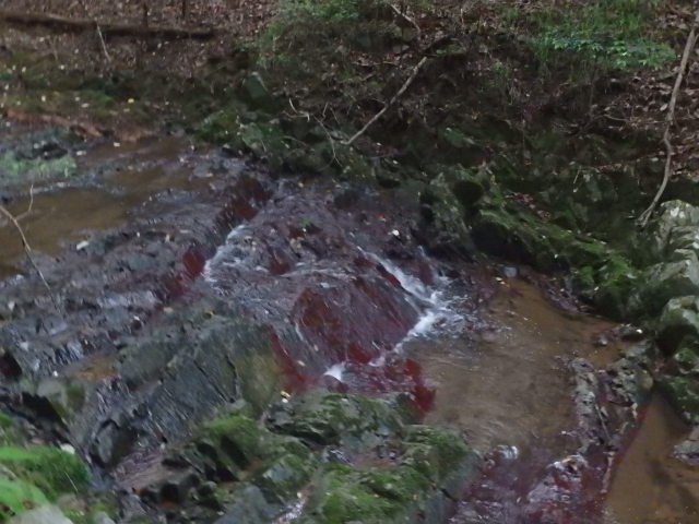 f0334143_18373591.jpg