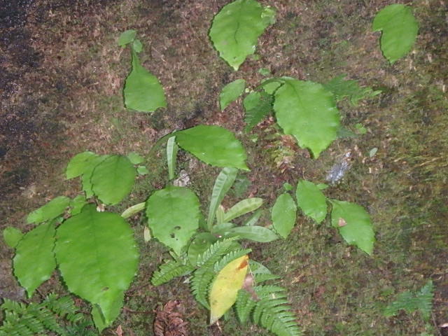 f0334143_18385168.jpg