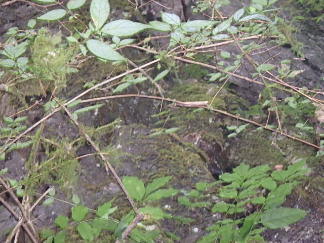 f0334143_183924.jpg