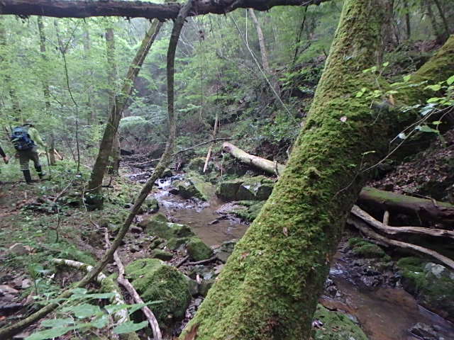 f0334143_18392739.jpg