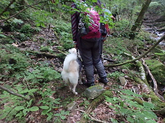 f0334143_18394084.jpg