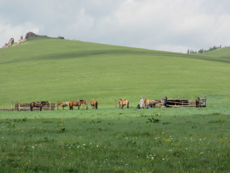b0277147_12234460.jpg