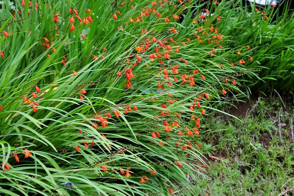 b0236251_14113739.jpg