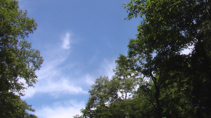 b0208961_16494962.jpg