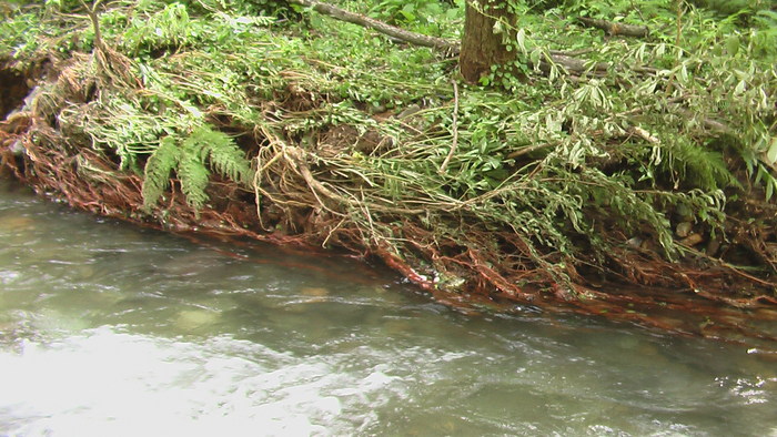 b0208961_1650827.jpg