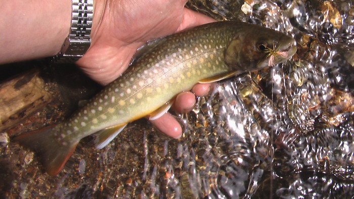 b0208961_1651222.jpg