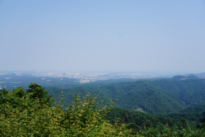 d0152261_10340050.jpg