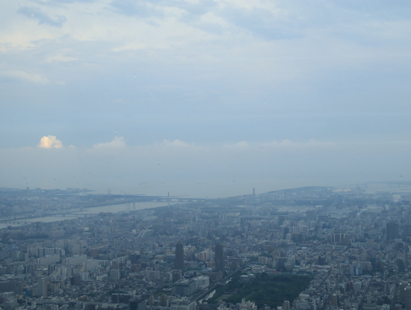 d0202264_1843263.jpg