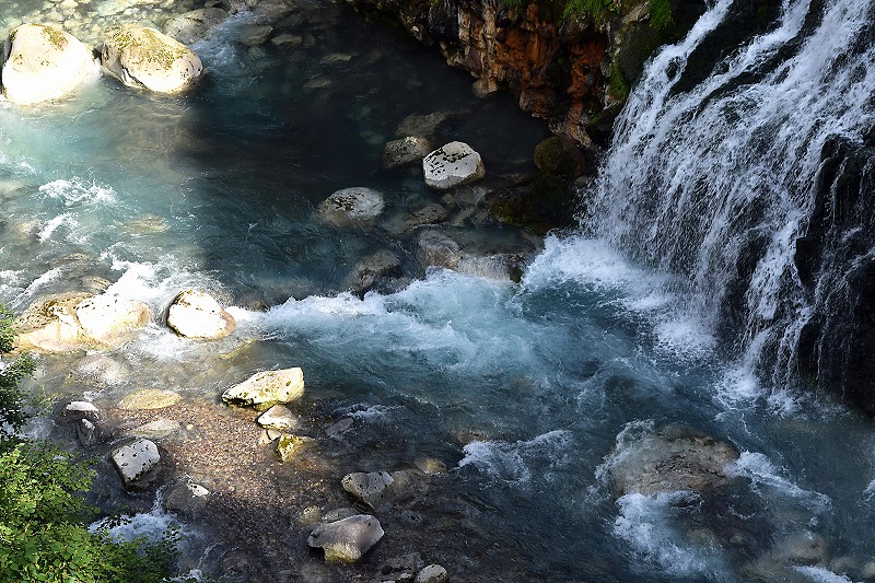 d0244364_12311955.jpg