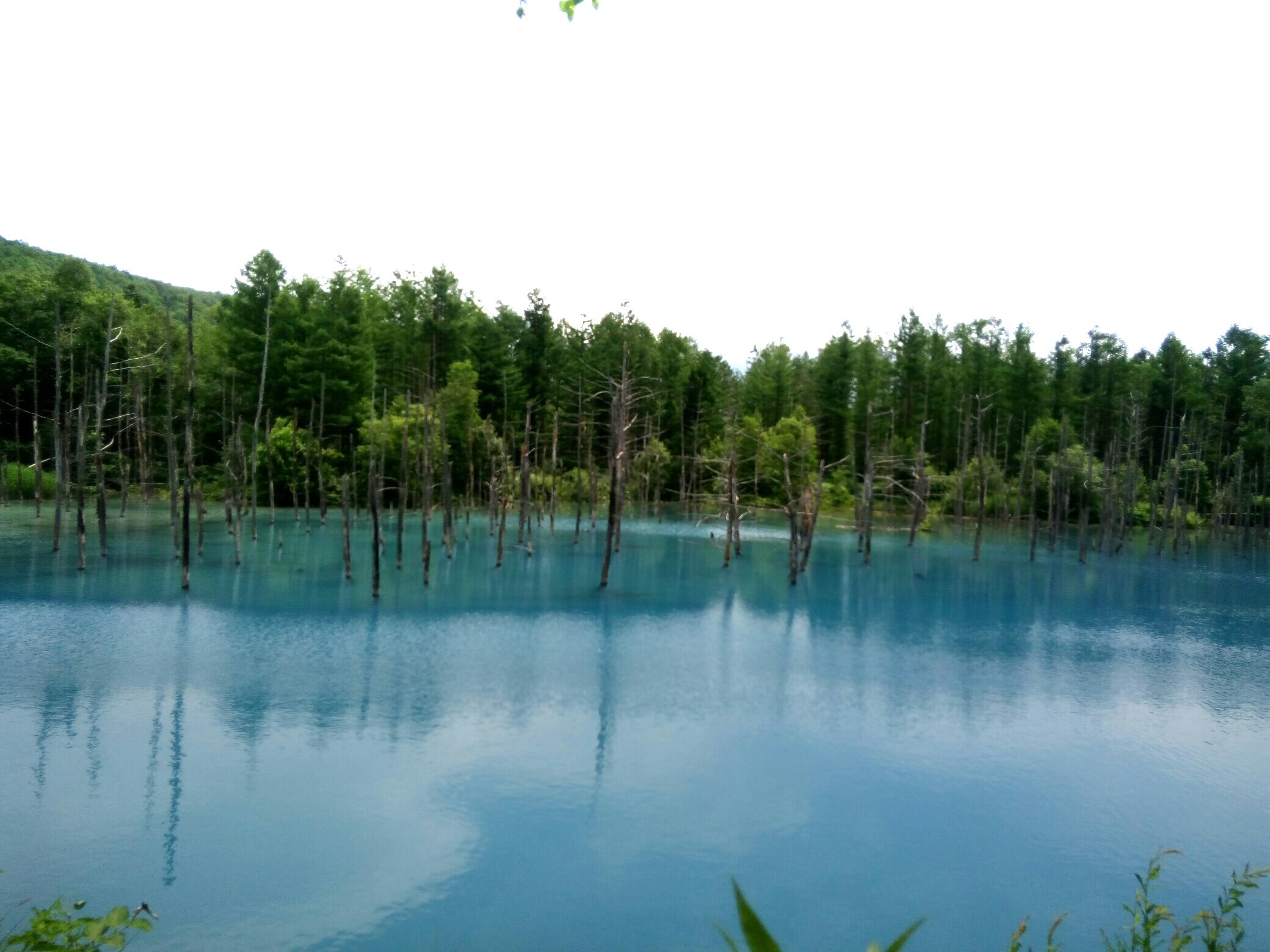 e0145364_20452699.jpg