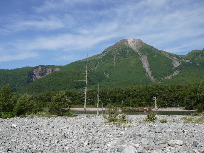a0170166_11011106.jpg