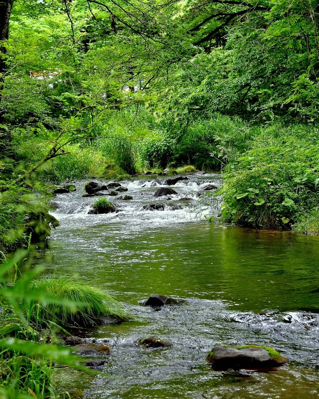d0175768_20560037.jpg