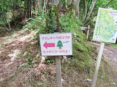 f0140773_14523100.gif
